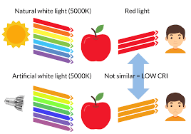 What Is Cri The Ultimate Guide To The Color Rendering Index