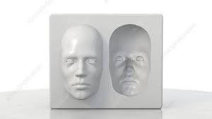 Ever seen those illusions where there is a face that seems to turn toward you? Hollow Face Illusion Stock Video Clip K001 1451 Science Photo Library