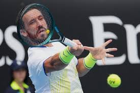 Trend Google: damir džumhur