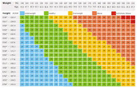 Body Mass Index Dr Saurabh Misra Laparoscopic And