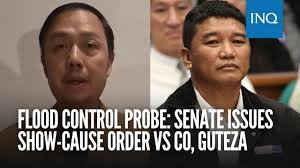 WATCH: Move As One co-convener and bone cancer survivor Dr. Maureen Mata  was carried in her wheelchair up and down the stairs of Magallanes  Interchange due to the lack of elevators in