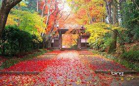We hope you enjoy our growing collection of hd images to use as a background or home please contact us if you want to publish a cool japanese hd desktop wallpaper on our site. Japan Autumn Hd Wallpapers Wallpaper Cave