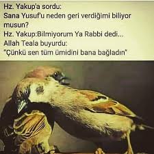 3 455 Begenme 34 Yorum Instagram Da Dini Sozler Hadisler Ayetler Dini Sozler Hadis Begenerek Kaydederek Etiket Yap 2020 Instagram Tintin Guzel Soz