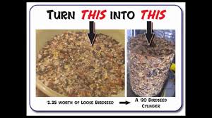 The birdseed cake recipe i used a few winters ago was pretty good, but was heavy. How To Make A Birdseed Block Cylinder At Home Youtube