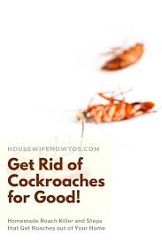 With the rise of infection from cold and flu viruses, protecting your family is more crucial than ever. How To Get Rid Of Cockroaches For Good Housewife How Tos