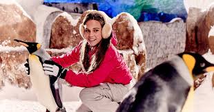 Ticketsnow has a consumer rating of 1.72 stars from 18 reviews indicating that most customers are generally dissatisfied with their purchases. Ski Dubai Ticket The Largest Snow Park In Dubai