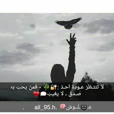 Pin By عـ ـلـ ـوش M On وداعت الله بعد لو تنطيني كلبك ما اكلبك Alphabet Tattoo Designs Movie Quotes Funny Tattoo Designs