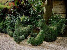 You can add single, double or triple ball topiaries that are going to have a lot more body and volume. 28 Topiary Ideas Topiary Topiary Garden Garden Design