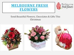 Flowers melbourne city also offer champagne, chocolates and teddy bears which can be added to your order. Buy Beautiful Flowers Chocolates Gifts This Christmas Melbourne Fresh Flowers By Fresh Flowers Issuu
