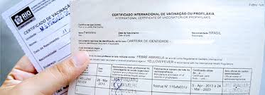 Consulta dos elegíveis para vacinação. Bio Manguinhos Fiocruz Inovacao Em Saude Bio Manguinhos Fiocruz Inovacao Em Saude Vacinas Kits Para Diagnosticos E Biofarmacos