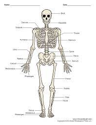 Figure 15 diagram 3.5, with the text now referring to diagrams. Touch This Image To Discover Its Story Image Tagging Powered By Thinglink Human Skeleton Labeled Human Skeleton Human Skeleton For Kids