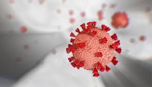 The drug is entering phase 3 trials in q4 2020 for. Molnupiravir New Anti Viral Drug Emerges As Latest Gamechanger For Covid 19 Otv News