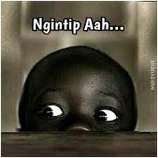  7 Ide Funn Semuanya Lucu Gambar Lucu Meme Lucu