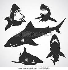 Black And White Shark Teeth Clipart Shark Teeth Stock Vectors Vector Clip Art Vector Illustration Shark Silhouette Silhouette Vector