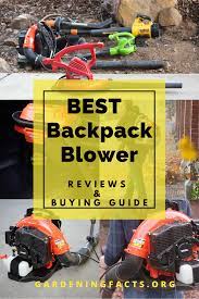 Best Backpack Blower 2020 Cool Backpacks Backpack Blowers Backpacks