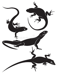 Black And White Lizard In Georgia Lizard The Figure Shows A Lizard Ad Figure Lizard Lizard Shows Ad Animal Silhouette Animal Drawings Vector Art