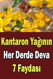 Kantaron Yaginin Her Derde Deva 7 Faydasi Sosyolife Net Saglik Dogal Saglik Sifali Otlar