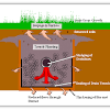 (food, oil, grease) in a septic system drain field will lead to failure of the soil and of the entire system. 1