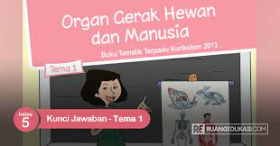 Maybe you would like to learn more about one of these? Kunci Jawaban Buku Siswa Tematik Kelas 5 Tema 1 Organ Gerak Hewan Dan Manusia Ruang Edukasi