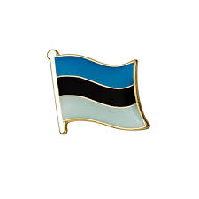 The normal size is 105 by 165 centimetres (41 in × 65 in). Estonia Flag Enamel Pin