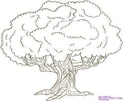 Maybe you would like to learn more about one of these? How To Draw An Oak Tree Oak Tree Drawings Tree Drawing Tree Coloring Page