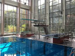 Sprungturmsanierungen In 48165 Munster