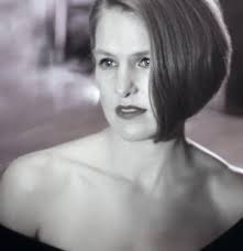 Roundup: Explorers Club, Snow Shovels, Alice In Webland …