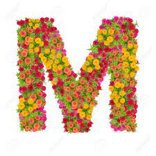 Picture of letter m alphabet with zinnia flower abc concept type as logo. Letter M Alphabet Made From Zinnia Flower Abc Concept Type As Logo Typography Design With Clipping Path Stock Photo Picture And Royalty Free Image Image 88173942
