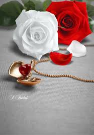 Ubaxyo loves photo / photos of couples wallpaper, love photos only, love photos of lovers features of this message above thank you so much for watching this video by sweet love text messages channel. Pin By Ubax On Everything From S Budak Beautiful Rose Flowers Beautiful Roses Beautiful Flowers Wallpapers