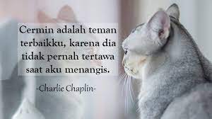 Apalagi sekarang ada facebook whatsapp instagram, motivasi yang singkat dan padat arti dapat anda. 25 Kata Kata Sindiran Buat Teman Sebagai Nasihat Kepogaul