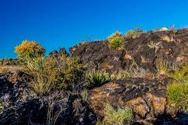 With interesting flow stone lava rocks and other desert plants. Valley Of Fire Lava Field In New Mexico With Interesting Flow Stone Lava Rocks And Cactus Photographic Print Richard Mcmillin Art Com