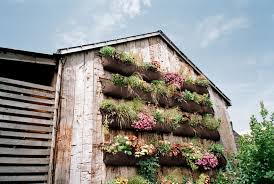 Check spelling or type a new query. Vertical Gardening Ideas How To Make A Vertical Garden Country Living Landscape Other By Burgis Associates Inc Houzz