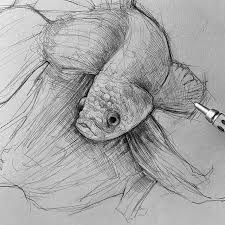 Pencil Sketch Artist Efrain Malo Continue Reading And For More Sketch View Website Sketch Sketchbook Sketchbook Animal Sketches Drawings Animal Drawings