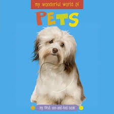 Pet world is a little mobile game where you are an intern in an animal shelter. My Wonderful World Of Pets Katie Cotton 9781848773066