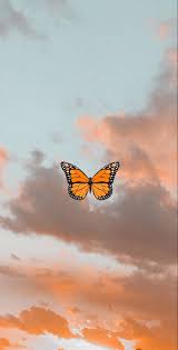 Vintage, grunge, aesthetics, australia, melbourne, sky, tumblr. Butterfly Wallpaper Tumblr Trippy Aesthetic Cloud Wallpaper Novocom Top