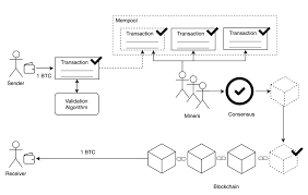 A transaction is a transfer of bitcoin value that is broadcast to the network and collected into blocks. The Bitcoin S Lifecycle Overview Dev Community