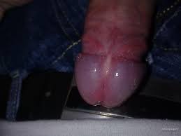 Bilder zum Profilbild - Heiße Bildergalerie von Curiosus72 vom Jan 10, 2011  - Amateurpin.xxx ✓