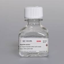 Image result for Ampicillin