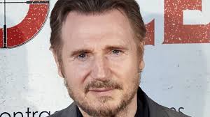 Los Hijos De Liam Neeson Son Muy Exitosos En Sus 20’s