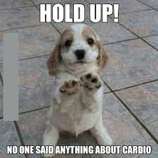 Pin On Funny Dogs And Cats