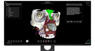 Below are a number of sinus trigger points to help alleviate the discomfort from sinus pressure; 3d Nasal Vista Nasal