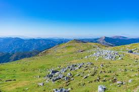 ドイツの総面積は357,021km 2 である。 そのうち4,750 km 2 は灌漑地（かんがいち）、7,798 km 2 は水面である。 ドイツの湖の面積第1位はボーデン湖（総面積536km 2 、うち岸辺の62％がドイツに属するが、湖自体に国境は定まっていない ）、第2位はミューリッツ湖（117 km 2 ）、第3位はキーム湖（80 km 2. æ—¥æœ¬ä¸‰å¤§ã‚«ãƒ«ã‚¹ãƒˆ ã¡ã‚Šã‚‰ã¼