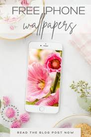 Image result for free wallpaper
