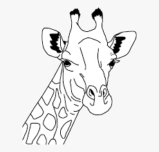 The pages can be printed for free and can be used for both school and home purposes. Clipart Giraffe Coloring Page Head Hd Png Download Kindpng