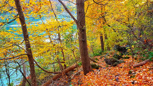 The local gorge trail system offers both easy trails to follow and challenging sections of trails that have steep stairs to climb and rocks to scramble over. Niagara Falls Little Green Nomad