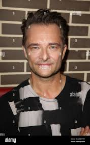 David hallyday hi-res stock photography and images