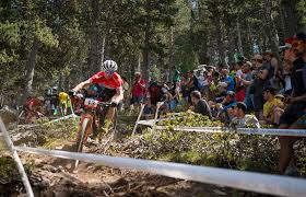 Andri frischknecht, feldbach, + 0.164. 112 Mathias Fluckiger Als Spatzunder In Die Weltelite