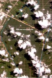 Apa sajakah itu dan mengapa demikian? Riaupagi Com Sakai Pelestarian Alam Yang Mulai Tercemar