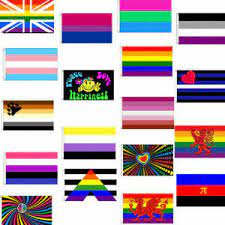 National and nonbinary flag history how did flags come to be? Lgbt Gay Pride Flags 3 X 2 Rainbow Genderqueer Transgender Non Binary Etc Ebay