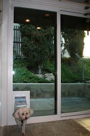 This helps you to get idea of the size of the pet door you are looking to buy. 15 Doggy Doors Ideas Dog Door Pet Door Pet Doors